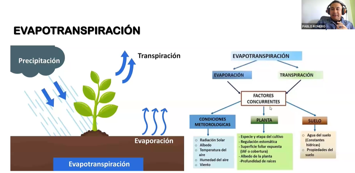 EVAPOTRANSPIRACIÓN DE REFERENCIA, POTENCIAL Y REAL